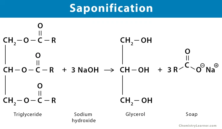 Saponification Saponification
