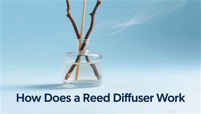 How Does A Reed Diffuser Work? A Complete Guide To Flameless Aromatherapy